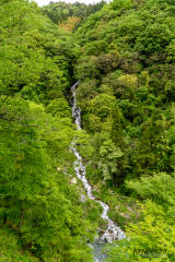 白水の滝