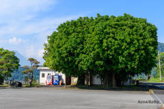 開聞岳