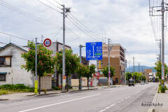 紅花栃の木