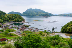 日引棚田