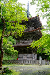 金剛院