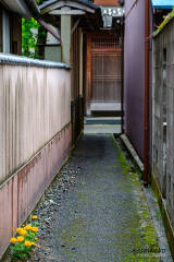 町屋内路地