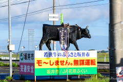 交通安全