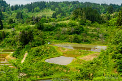 農村風景