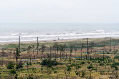蓮沼海浜公園