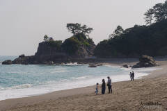 桂浜