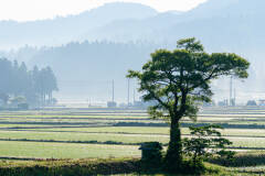 農村風景