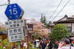 吉野山