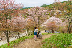 吉野山
