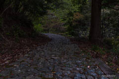熊野古道