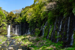 白糸の滝