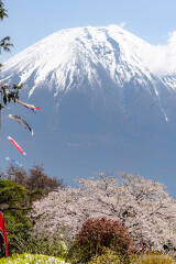 富士山