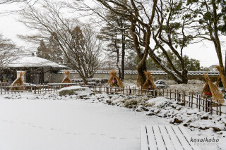 雪の日