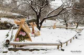 雪の日