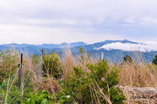 脊梁山地