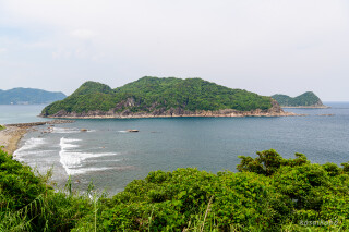 幸島