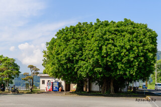 開聞岳