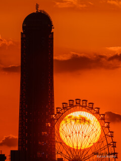 夕暮れ