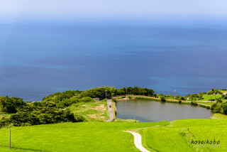 東後畑棚田