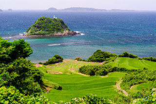 俵島
