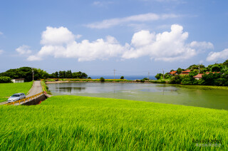 東後畑棚田