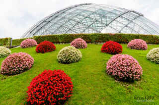とっとり花回廊