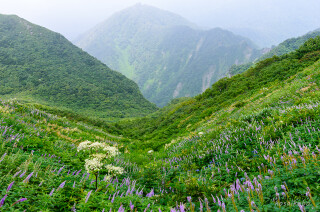 大山