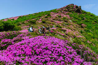 平治岳