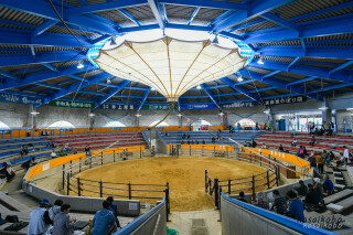 宇和島市営闘牛場