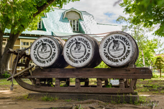 ニッカウヰスキー