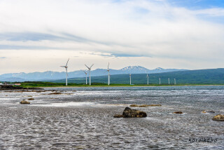 風車が建ち並ぶ風景