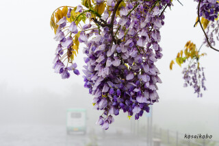 エンゼルライン展望台