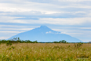 利尻山