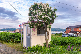 はまなす団地バス停