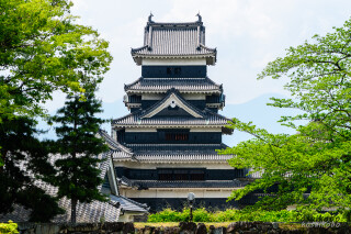 松本城