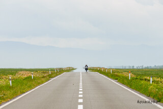 猿払村道エサヌカ線