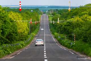 アップダウンしながら続く道