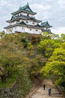 和歌山城