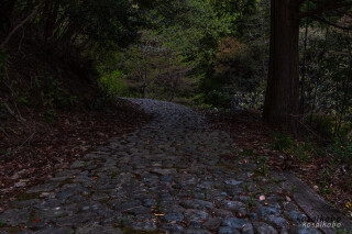 熊野古道