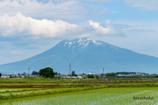 農村風景
