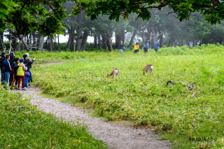 知床自然センター