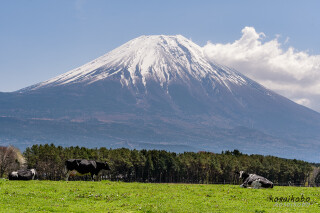富士山