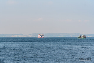 東京湾フェリー