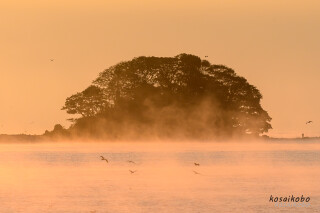 毛嵐に煙る唐島