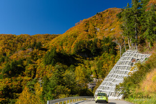 ホワイトロード