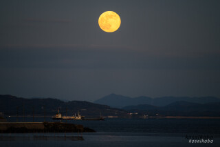 コールドムーン