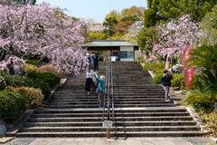 植物公園入口